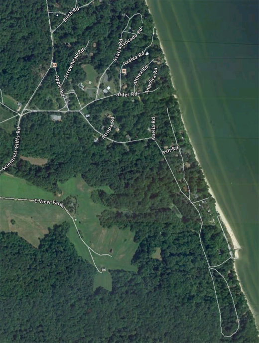 Tay Vaughan Scientists' Cliffs